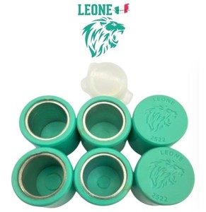  LEONE PERFORMANS BAGASI 6 LI (25x22x18 GR)