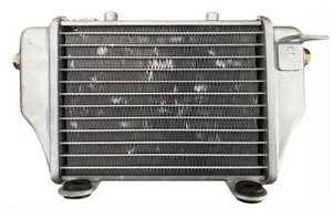  ASYA RX 250 RADYATÖR (MÜŞÜRLÜ)