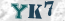 Güvenlik Resmi