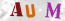 Güvenlik Resmi